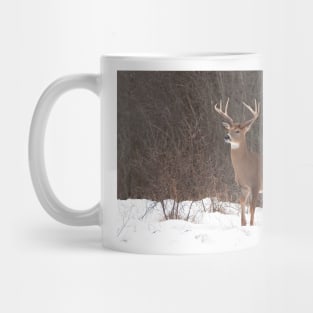 Bambi - White-tailed Buck Mug